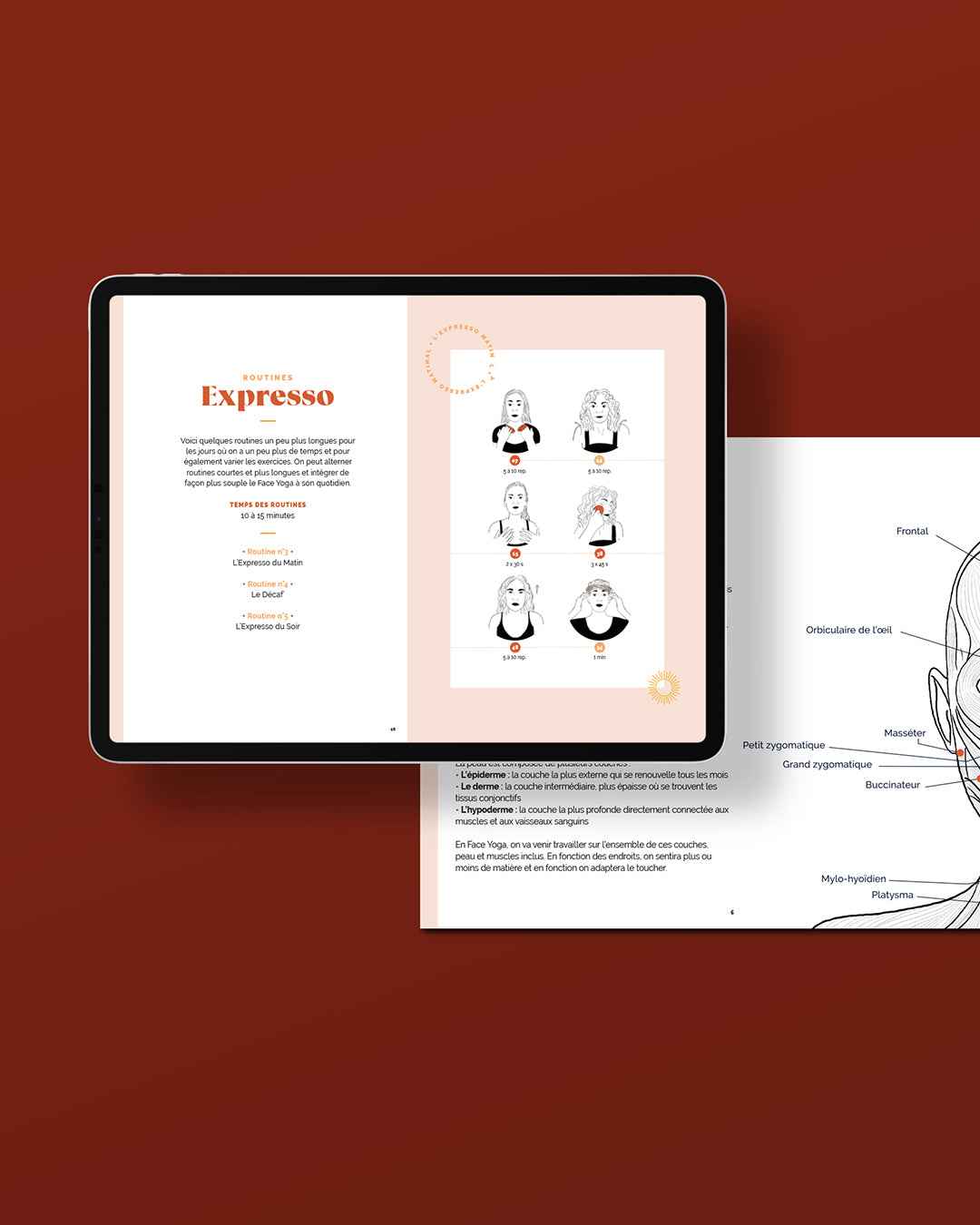 Face Yoga 🤗 Les Premiers Pas (E-Book)